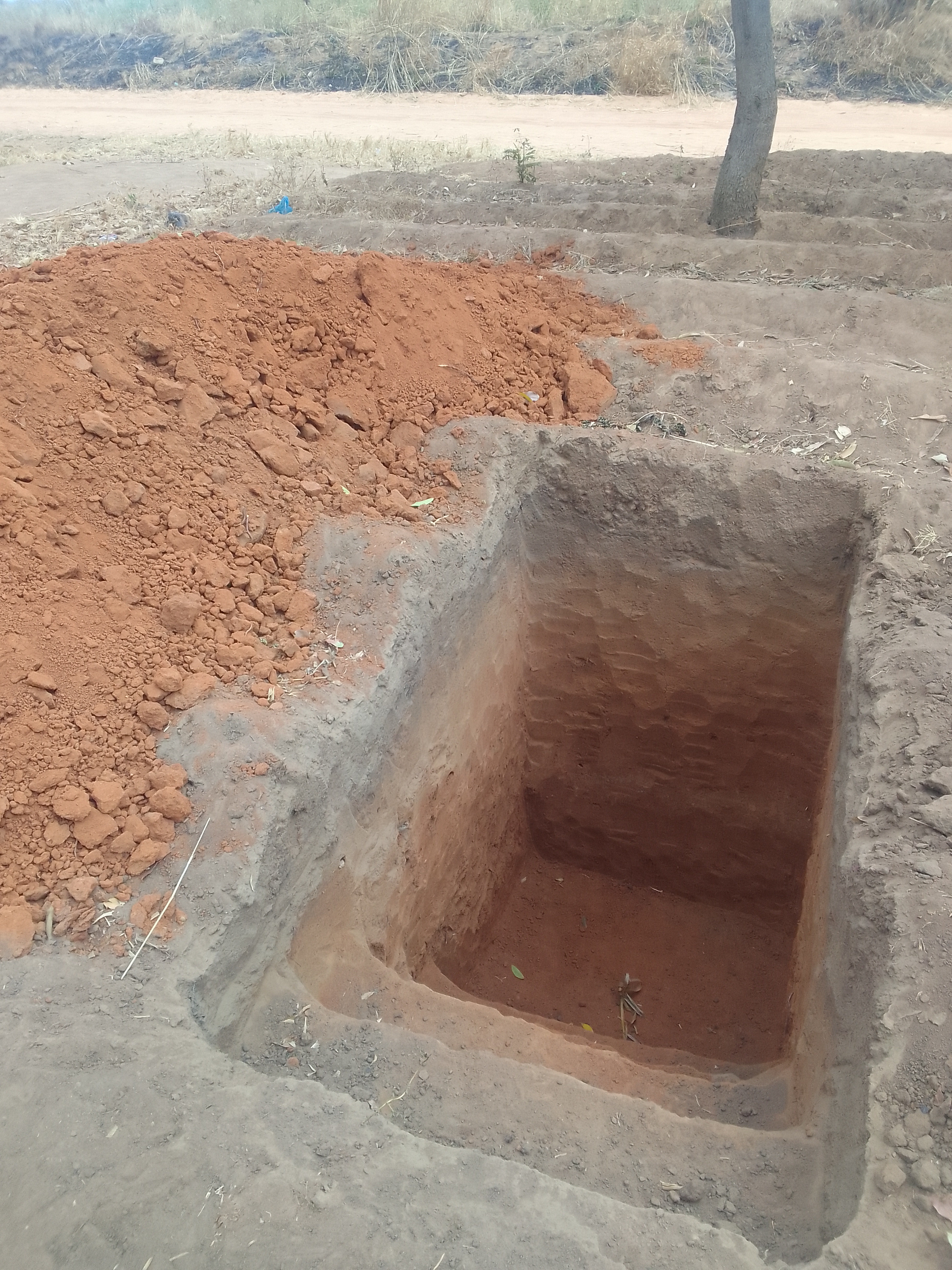 Soil Health Training